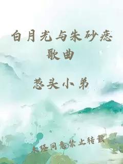 白月光与朱砂痣歌曲