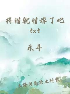 将错就错嫁了吧txt