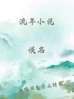 流年小说