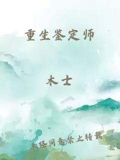 重生鉴定师