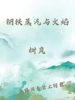 钢铁蒸汽与火焰