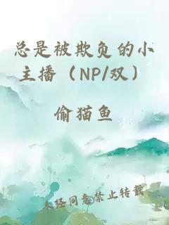 总是被欺负的小主播（NP/双）