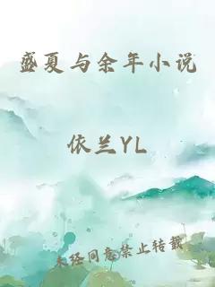 盛夏与余年小说