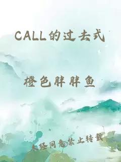 CALL的过去式