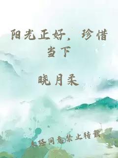 阳光正好，珍惜当下