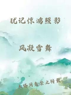 犹记惊鸿照影