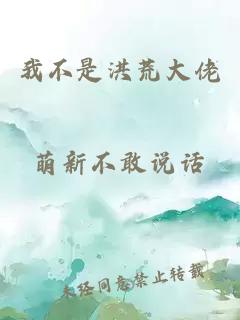 我不是洪荒大佬