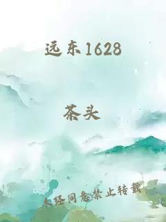 远东1628