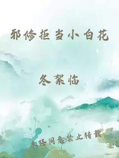 邪修拒当小白花