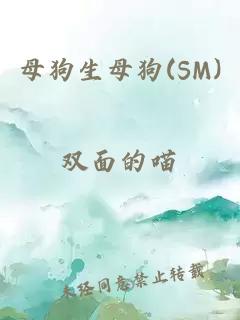 母狗生母狗(SM)