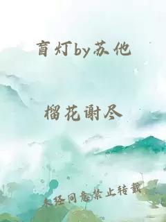 盲灯by苏他