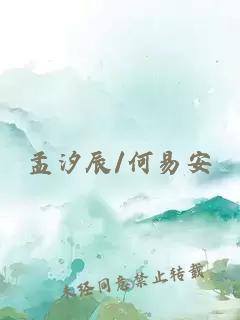 孟汐辰/何易安