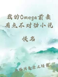 我的Omega前妻有点不对劲小说