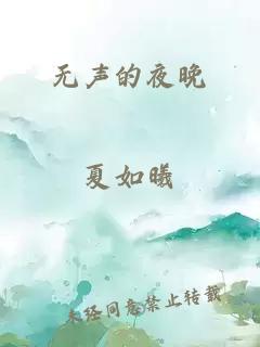 无声的夜晚